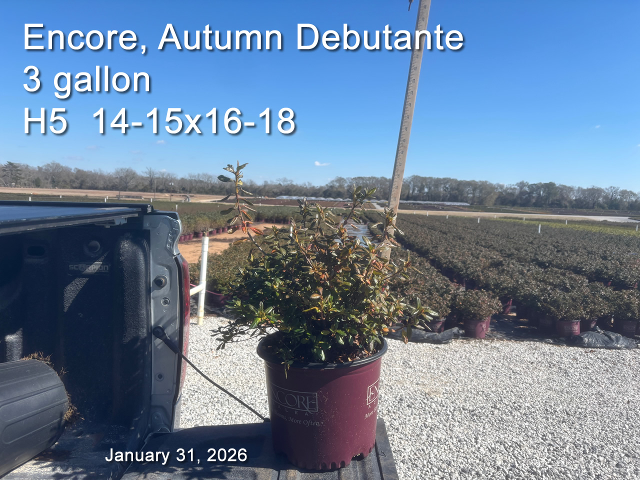 gallery/edeb3 h5 jan31.jpg